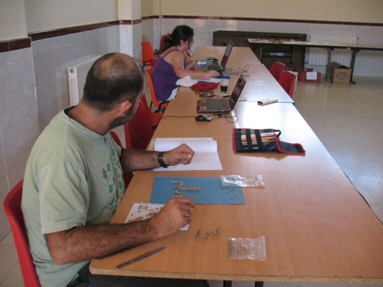 EXCAVA_2010_4