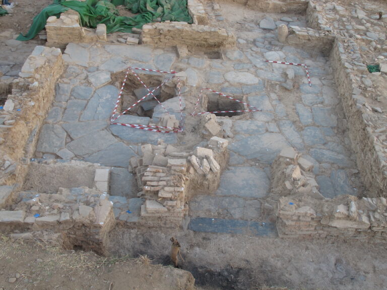 Casa C-1_2011
